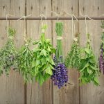 Hudvårdsingredienser Förklarade